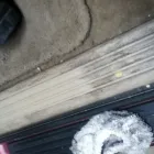 La imagen 2 de la Empresa ESTETICA AUTOMOTRIZ BULEVAR DE LAS AMERICAS Concesionarios y Alquiler de Automóviles en Querétaro QUE