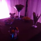 La imagen 5 de la Empresa EVENTOS A&R Organización y Realización de Fiestas y Eventos en Cuautitlán Izcalli MEX