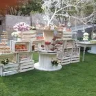 La imagen 7 de la Empresa EVENTOS A&R Organización y Realización de Fiestas y Eventos en Cuautitlán Izcalli MEX