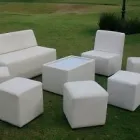 La imagen 4 de la Empresa EVENTOS REEDI Organización y Realización de Fiestas y Eventos en Tlajomulco De Zúñiga JAL