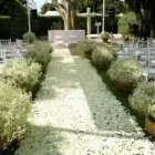 La imagen 16 de la Empresa EVENTUR Organización y Realización de Fiestas y Eventos en Cuernavaca MOR