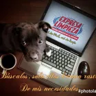 La imagen 4 de la Empresa EXPRESA LIMPIEZA Servicios Profesionales y de Negocios en San Andrés Cholula PUE