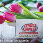 La imagen 15 de la Empresa EXPRESA LIMPIEZA Servicios Profesionales y de Negocios en San Andrés Cholula PUE