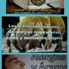 La imagen 45 de la Empresa EXPRESA LIMPIEZA Servicios Profesionales y de Negocios en San Andrés Cholula PUE