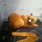 La imagen 52 de la Empresa EXPRESA LIMPIEZA Servicios Profesionales y de Negocios en San Andrés Cholula PUE