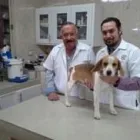 La imagen 2 de la Empresa FARMACIA VETERINARIA GONZÁLEZ Salud y Medicina en Saltillo COA