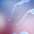 La imagen 2 de la Empresa FERTILITJ GINECOLOGOS EN TIJUAN Salud y Medicina en Tijuana BCN