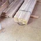 La imagen 2 de la Empresa FINCA NUEVA GALICIA Maderas en Tapachula CHP