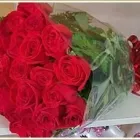 La imagen 2 de la Empresa FLORERÍA GIRASOL Industrias y Agricultura en Monterrey NLE