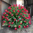 La imagen 1 de la Empresa FLORERÍA LUPITA Industrias y Agricultura en Guadalajara JAL