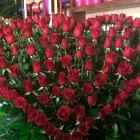 La imagen 3 de la Empresa FLORERÍA LUPITA Industrias y Agricultura en Guadalajara JAL