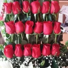 La imagen 2 de la Empresa FLORERÍA NELLY Industrias y Agricultura en Ciudad Cuauhtémoc CHH