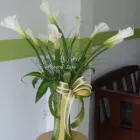 La imagen 6 de la Empresa FLORERIAS EN CANCÚN  ZAZIL Organización y Realización de Fiestas y Eventos en Cancún ROO