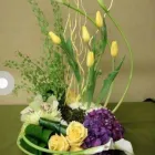 La imagen 6 de la Empresa FLORES Y REGALOS ALAMEDA Industrias y Agricultura en Toluca De Lerdo MEX