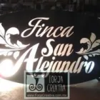 La imagen 1 de la Empresa FORJA CREATIVA Servicios Profesionales y de Negocios en Puebla MEX