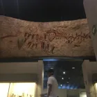 La imagen 3 de la Empresa FOTO PLAZA SA DE CV Tienda de Informática en Texcoco De Mora MEX