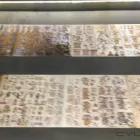 La imagen 14 de la Empresa FOTO PLAZA SA DE CV Tienda de Informática en Texcoco De Mora MEX