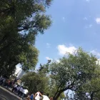 La imagen 90 de la Empresa FOTO PLAZA SA DE CV Tienda de Informática en Texcoco De Mora MEX