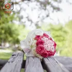 La imagen 4 de la Empresa FOTOGRAFÍA DE EVENTOS Video y Sonido Profesional en Monterrey NLE