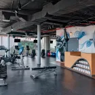 La imagen 12 de la Empresa FOUR POINTS BY SHERATON CANCUN CENTRO Transportes y Turismo en Cancún ROO