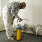 La imagen 2 de la Empresa FUMHER Servicios Profesionales y de Negocios en Leon GUA