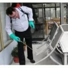 La imagen 2 de la Empresa FUMICLEAN 2000 Servicios Profesionales y de Negocios en Ciudad De México CMX