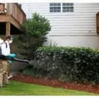 La imagen 3 de la Empresa FUMICLEAN 2000 Servicios Profesionales y de Negocios en Ciudad De México CMX