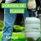 La imagen 3 de la Empresa FUMIGA MEXICO Servicios Profesionales y de Negocios en Cuautitlan Izcalli CMX