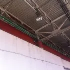 La imagen 1 de la Empresa FUMIGACIÓN DE FAUNA NOCIVA Servicios Profesionales y de Negocios en Veracruz VER