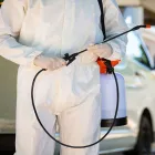 La imagen 3 de la Empresa FUMIGACIONES ACUÑA Servicios Profesionales y de Negocios en Ciudad Victoria TAM