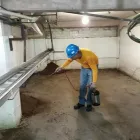 La imagen 3 de la Empresa FUMIGACIONES ADYC Servicios Profesionales y de Negocios en Mazatlán SIN
