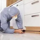 La imagen 1 de la Empresa FUMIGACIONES CONTROL Y DISEÑO QUERÉTARO Servicios Profesionales y de Negocios en Queretaro QUE