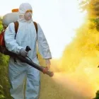 La imagen 2 de la Empresa FUMIGACIONES DE FRESNILLO Servicios Profesionales y de Negocios en Fresnillo ZAC