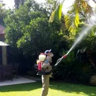 La imagen 1 de la Empresa FUMIGACIONES EL FUMIGADOR CERTIFICADA CON EL DISTINTIVO DE PROTECCIÓN BAYER CONTROLPLAGAS Servicios Profesionales y de Negocios en Ciudad De México CMX