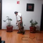 La imagen 3 de la Empresa FUMIGACIONES EL FUMIGADOR CERTIFICADA CON EL DISTINTIVO DE PROTECCIÓN BAYER CONTROLPLAGAS Servicios Profesionales y de Negocios en Ciudad De México CMX