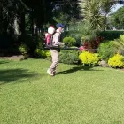 La imagen 4 de la Empresa FUMIGACIONES EL FUMIGADOR CERTIFICADA CON EL DISTINTIVO DE PROTECCIÓN BAYER CONTROLPLAGAS Servicios Profesionales y de Negocios en Ciudad De México CMX