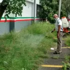 La imagen 7 de la Empresa FUMIGACIONES EL FUMIGADOR CERTIFICADA CON EL DISTINTIVO DE PROTECCIÓN BAYER CONTROLPLAGAS Servicios Profesionales y de Negocios en Ciudad De México CMX