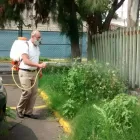 La imagen 8 de la Empresa FUMIGACIONES EL FUMIGADOR CERTIFICADA CON EL DISTINTIVO DE PROTECCIÓN BAYER CONTROLPLAGAS Servicios Profesionales y de Negocios en Ciudad De México CMX