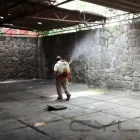 La imagen 11 de la Empresa FUMIGACIONES EL FUMIGADOR CERTIFICADA CON EL DISTINTIVO DE PROTECCIÓN BAYER CONTROLPLAGAS Servicios Profesionales y de Negocios en Ciudad De México CMX