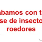 La imagen 3 de la Empresa FUMIGACIONES FRAGA Servicios Profesionales y de Negocios en Ciudad Juárez CHH