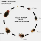 La imagen 2 de la Empresa FUMIGACIONES FUMITEC DE MEXICO Servicios Profesionales y de Negocios en Ecatepec De Morelos MEX