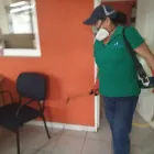 La imagen 9 de la Empresa FUMIGACIONES FUMITEC DE MEXICO Servicios Profesionales y de Negocios en Ecatepec De Morelos MEX