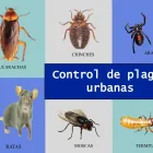 La imagen 13 de la Empresa FUMIGACIONES FUMITEC DE MEXICO Servicios Profesionales y de Negocios en Ecatepec De Morelos MEX