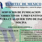 La imagen 20 de la Empresa FUMIGACIONES FUMITEC DE MEXICO Servicios Profesionales y de Negocios en Ecatepec De Morelos MEX