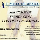 La imagen 22 de la Empresa FUMIGACIONES FUMITEC DE MEXICO Servicios Profesionales y de Negocios en Ecatepec De Morelos MEX
