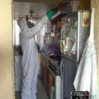 La imagen 2 de la Empresa FUMIGACIONES INSECTA en Cuautla De Morelos MOR