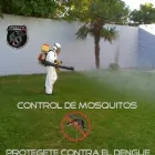 La imagen 5 de la Empresa FUMIGACIONES INSECTA en Cuautla De Morelos MOR