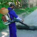 La imagen 4 de la Empresa FUMIGACIONES IR en Torreón COA