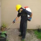 La imagen 5 de la Empresa FUMIGACIONES IR en Torreón COA