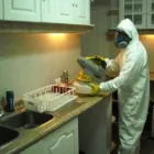 La imagen 12 de la Empresa FUMIGACIONES IR en Torreón COA